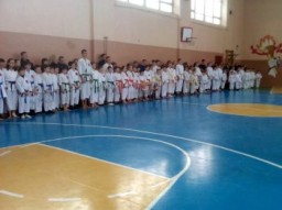 Константиновка приняла первенство Донецкой области по традиционному каратэ-до