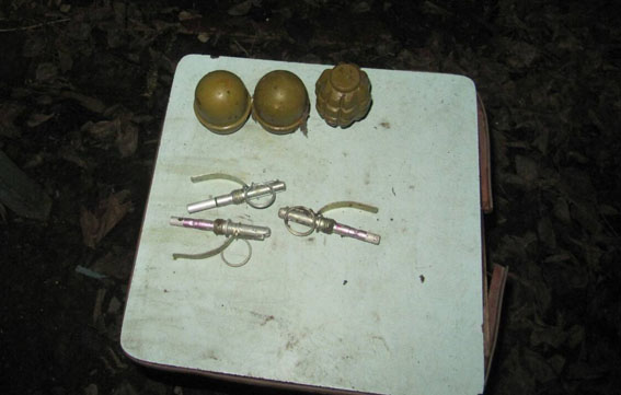 Опасный урожай. Полицейские Константиновки обнаружили боевые гранаты закопанные на огороде (ФОТО)