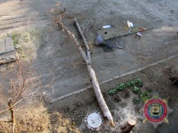 В Селидово рухнувшее дерево убило велосипедиста (ФОТО)
