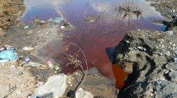 В Константиновке прокуратура контролирует расследование по факту загрязнения окружающей среды