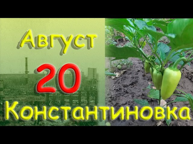 20 августа 2022 года Константиновка Донецкая область Донбасс
