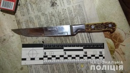 Жительницу Константиновского района задержали по подозрению в покушении на убийство