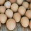 
Куриные яйца подорожают из-за роста цены на кукурузу - экономист
