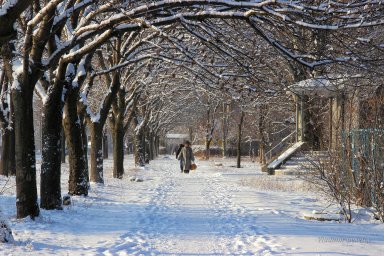 Зимова тиша: Вулиця Європейська під сніговим покровом (січень 2016 року)