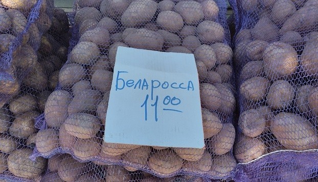 В Константиновке подешевел картофель: Можно заготавливать на зиму