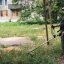 Жители Константиновки хотят, чтобы во дворах было чисто, а за квартиры не платят