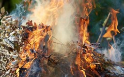В Константиновке будут штрафовать за сжигание листвы