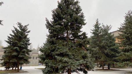 В Константиновке не будет наряжать новогоднюю елку
