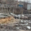 В Краматорском районе ПВО сбили ракету — соцсети (видео, фото)
