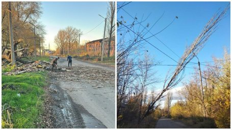 Поваленные деревья и оборванные электропровода: в Донецкой области бурлит ненастье