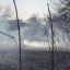 
        Пожарные в Константиновке спасли от возгорания несколько жилых домов