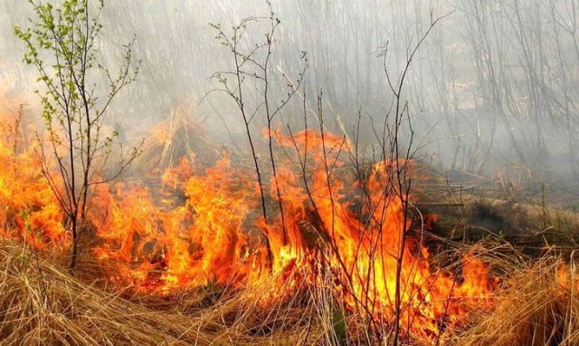 В Константиновке пострадал мужчина: пытался потушить возгорание сухой травы