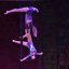 
Воспитанники цирка «Арена» из Константиновки стали лучшими на международном фестивале
