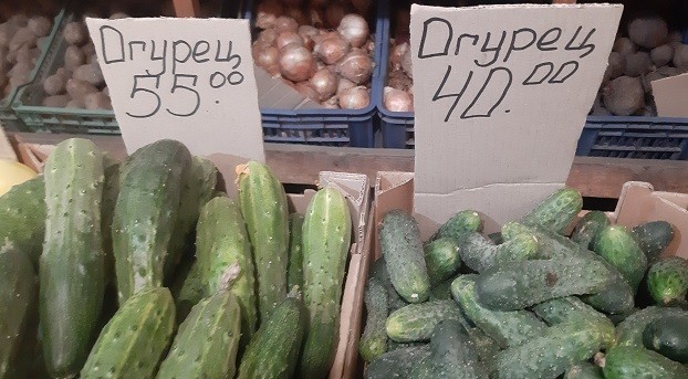 Ранние овощи в Константиновке становятся все доступнее