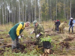 20 сентября - День работников леса