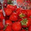 В Украине резко упали цены на клубнику