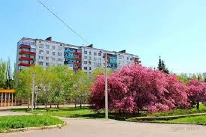 Райські яблуні на проспекті Ломоносова