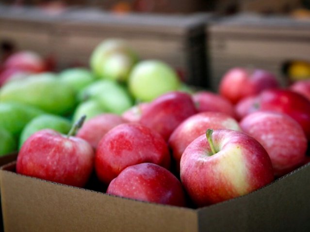 В Украине рекордно подешевели яблоки: самая низкая цена за 5 лет