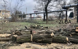 Вырубка деревьев в Константиновке: Минус 103 насаждения на территории больницы