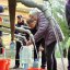Жителям Константиновки спасатели ежедневно развозят до 25 тонн воды (ФОТО, ВИДЕО)