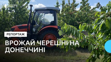 Урожай черешні в одному з найбільших садів на Донеччині