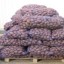 Цены на картофель в Константиновке, - СМИ