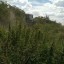 В Константиновском районе уничтожено 3 гектара конопли